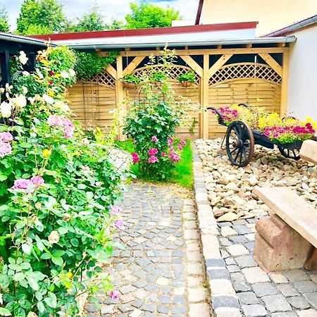 Ferienwohnungen Grimma 1 Zewnętrze zdjęcie