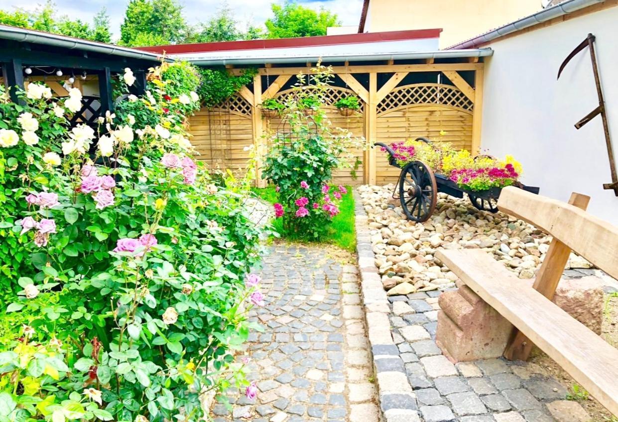 Ferienwohnungen Grimma 1 Zewnętrze zdjęcie